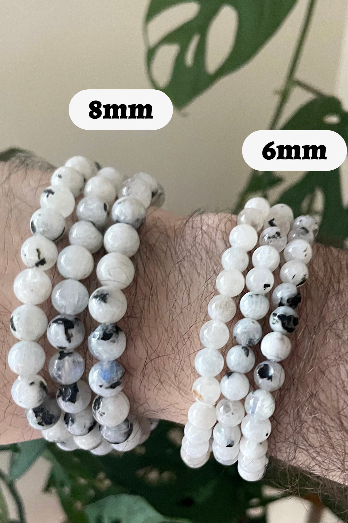 Pebble House Moonstone Bracelet 8mm