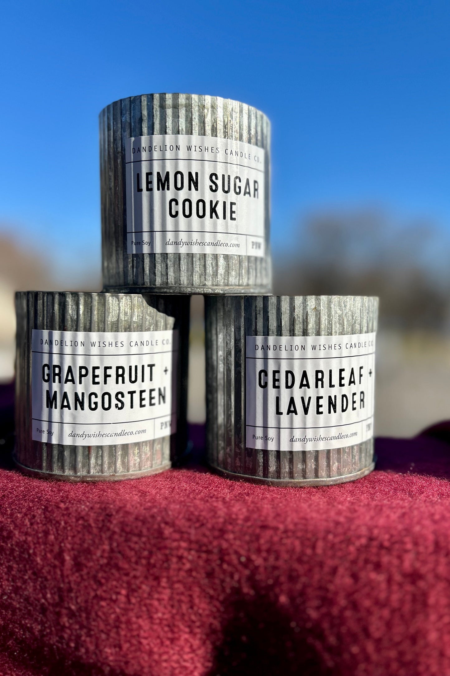 Dandelion Wishes Candle Co. 100% Soy Candle Tin - 12oz