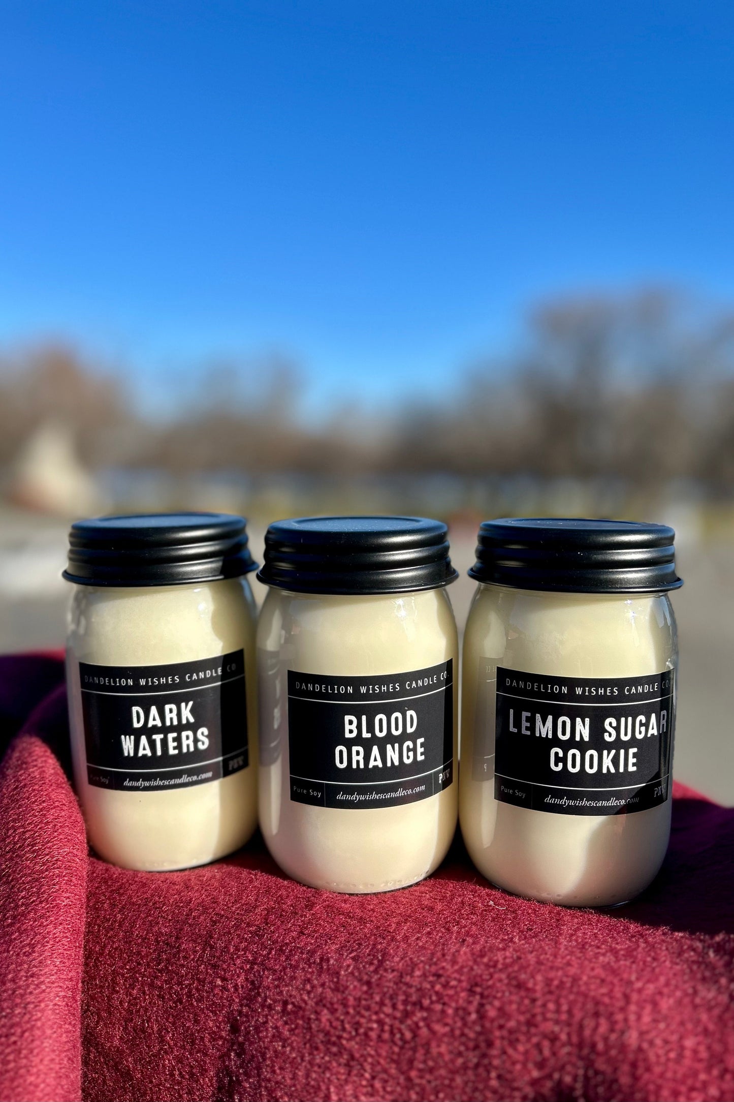 Dandelion Wishes Candle Co. 100% Soy Candle Large Mason Jar - 16oz